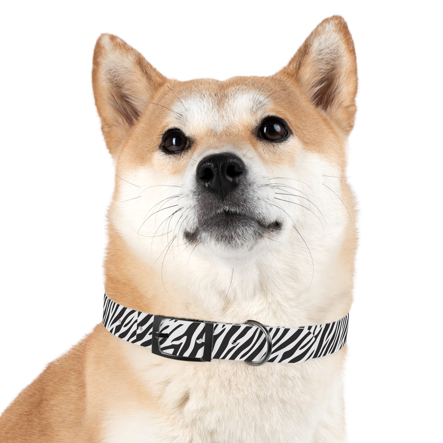 Tiger Stripe Dog Collar