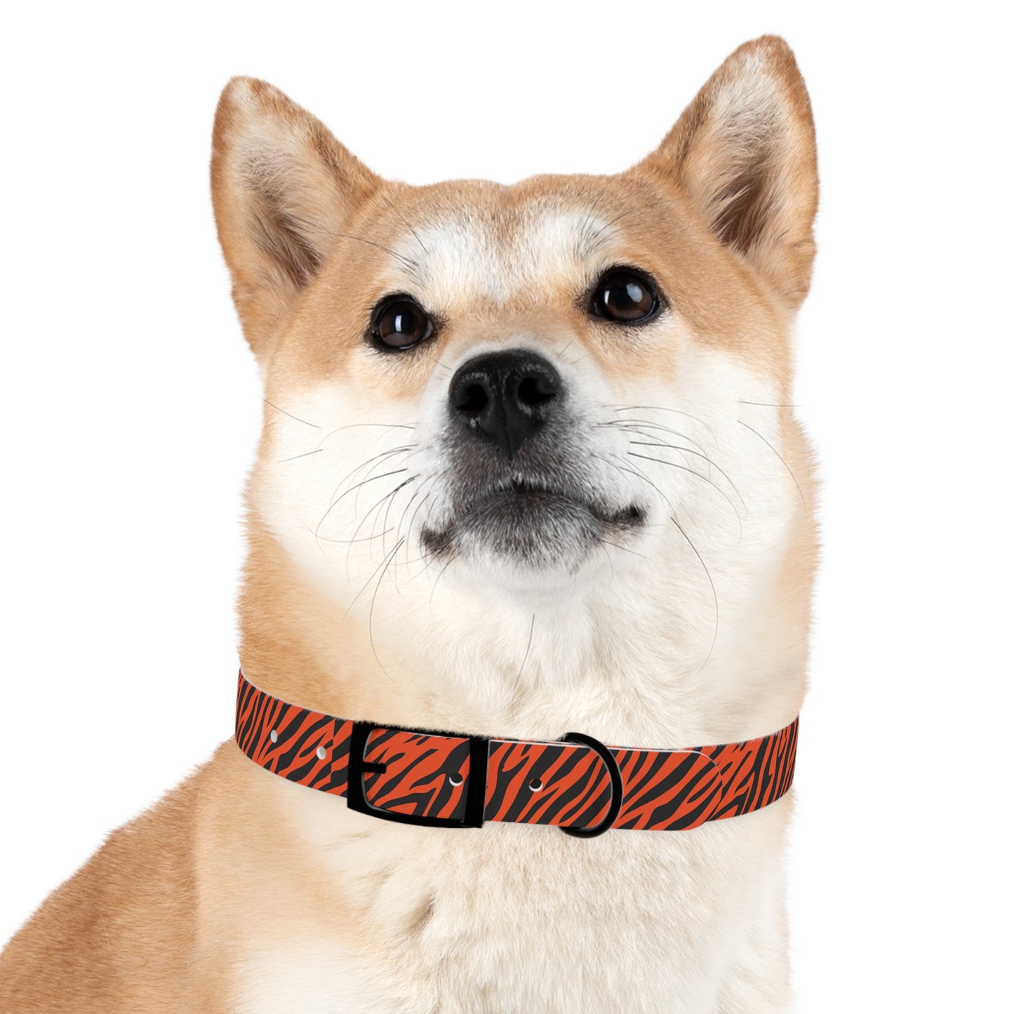 Tiger Stripe Dog Collar