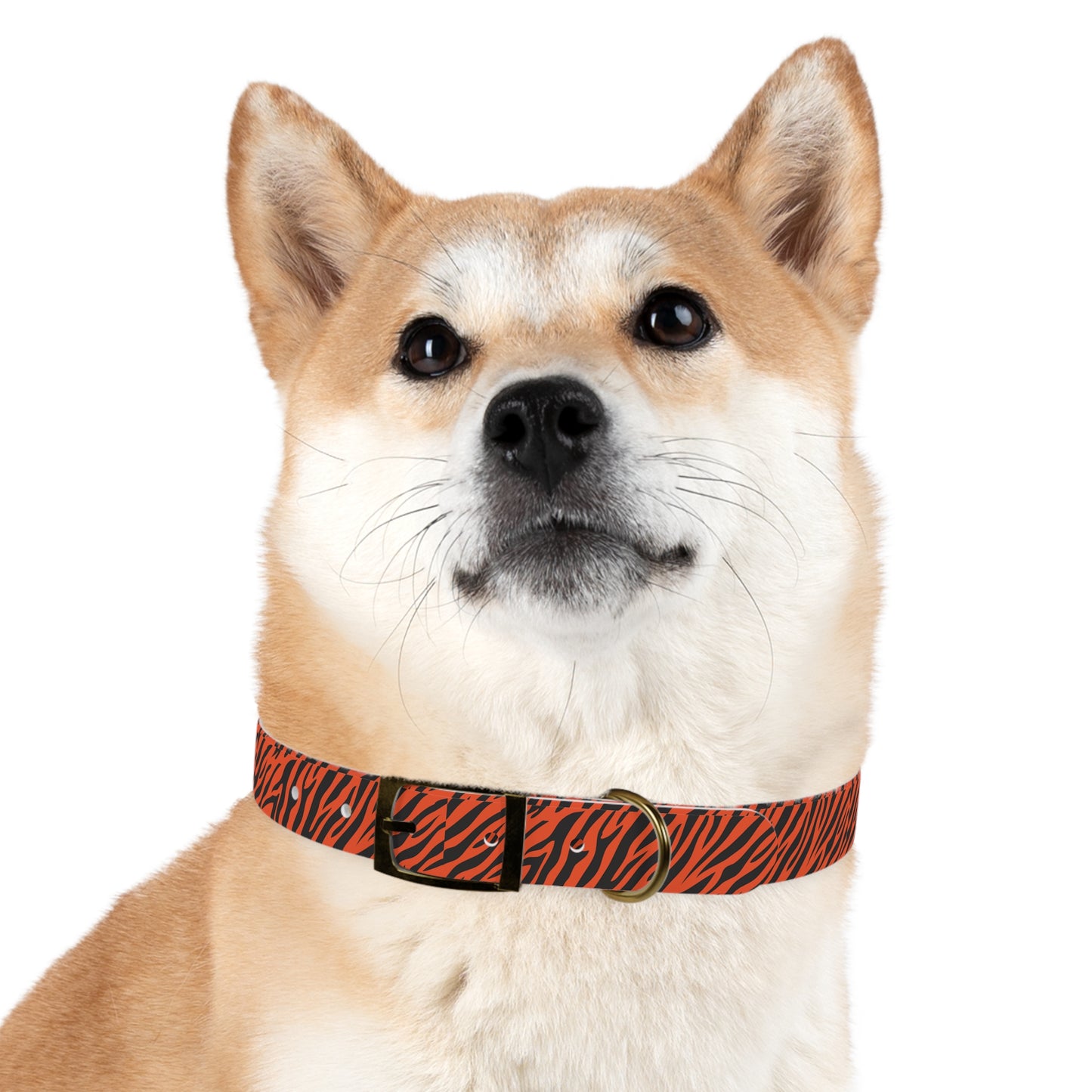 Tiger Stripe Dog Collar