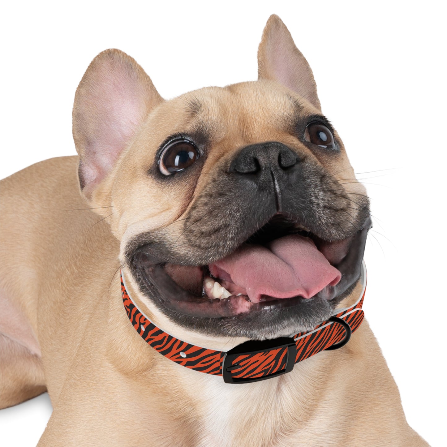 Tiger Stripe Dog Collar