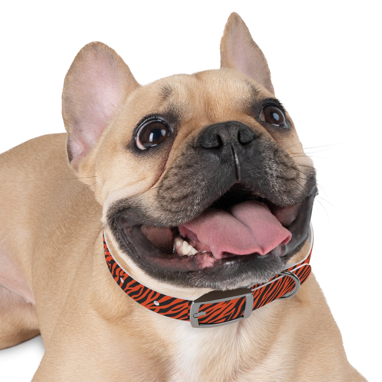 Tiger Stripe Dog Collar